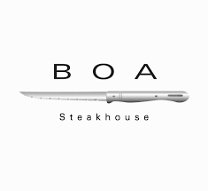 Boa logo